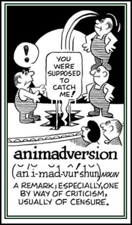 learn english word Animadversion and origin