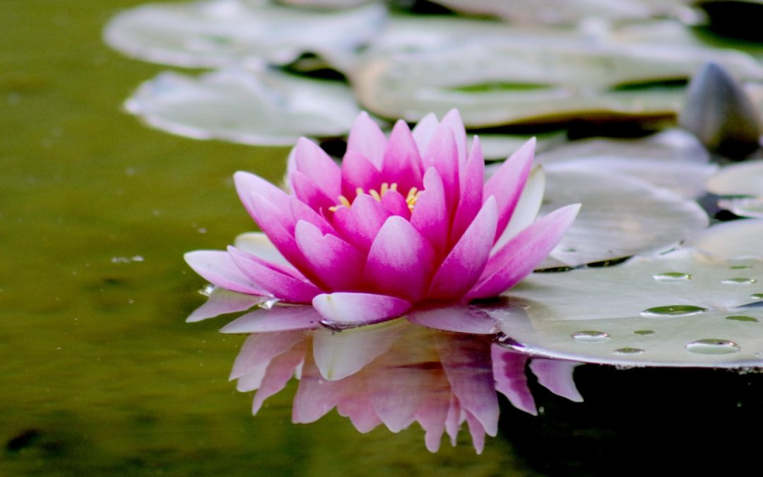 List of Nine Common Synonyms in English Thesaurus starting with E