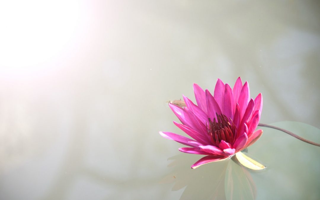 Part 1-13 common but useful words that start with F you should add to your word vocabulary