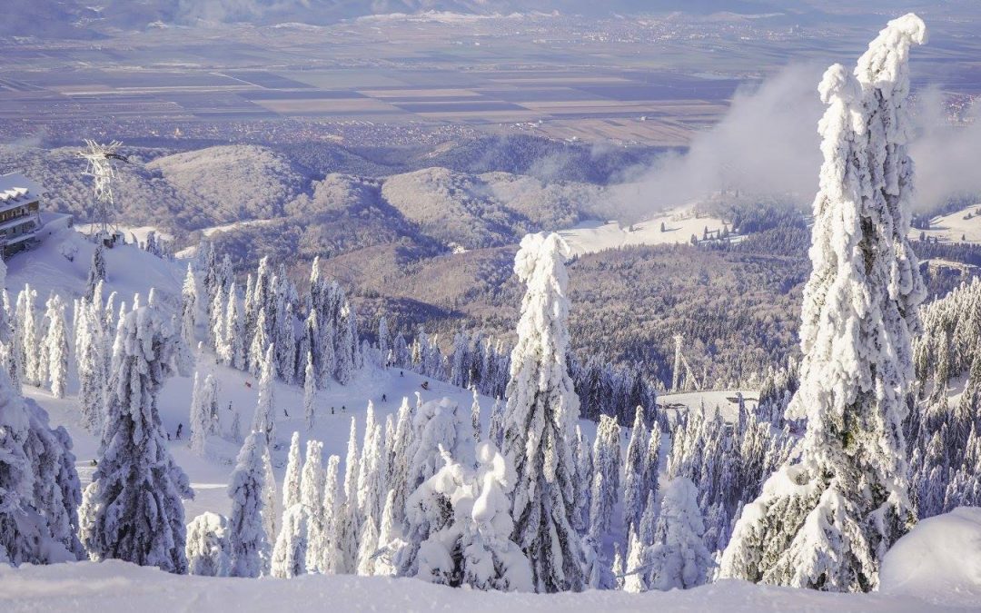 400 Words Essay Challenge Article – Simple Rules for English Adjectives and Adverbs