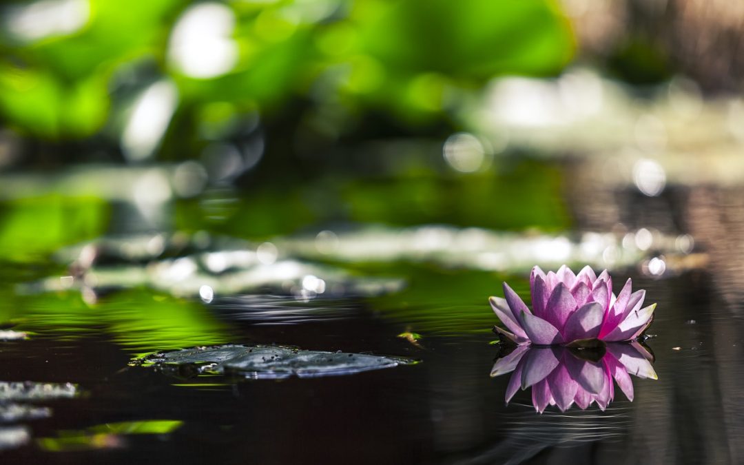 8 words that start with G/H you should add to your vocabulary