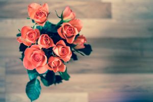 Chatsifieds red roses