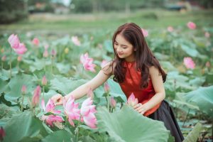 Chatsifieds English Class Top 16 words to know starts with Letter L lotus