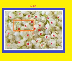 Using Had, Has & Have simplified | Learn Basic "Had" English Grammar