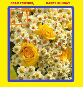 Using Have, Has & Had simplified | Learn Basic "Has" English Grammar