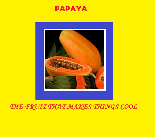 English Idioms and Expressions Papaya