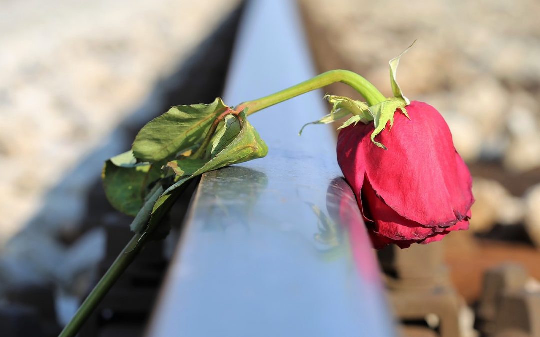 Learn English through short stories – Nadia Anjuman