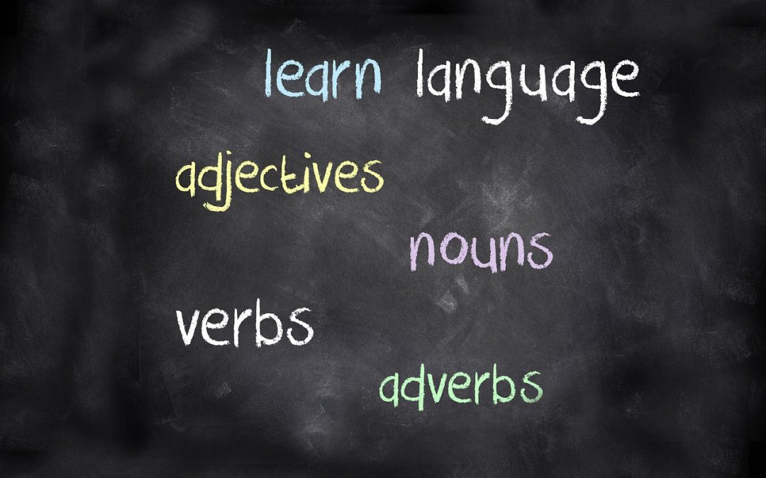 Third person singular – Learn English Grammar