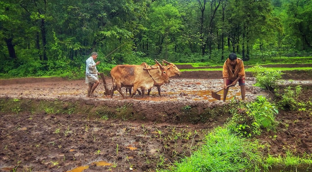 Great Biography An Indian Farmer – Biography Of Ordinary People