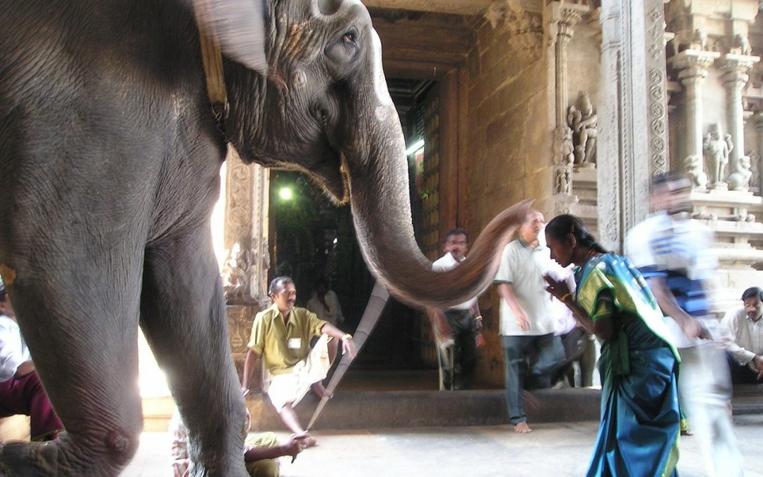 How does gender role impact our understanding of public spaces?