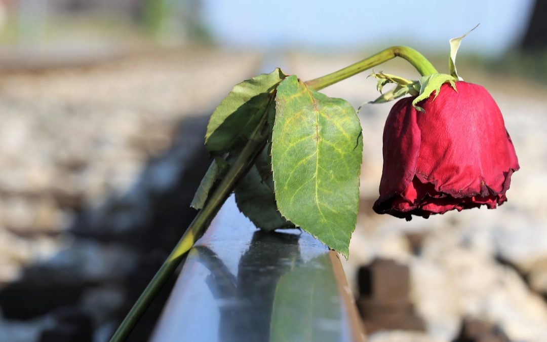 English Story Rabia Balkhi – The Tragic Story