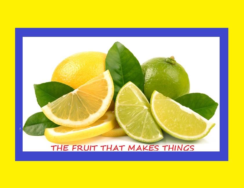 Lemon English Idioms - 127 Expressions