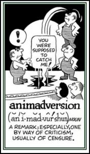 learn english word Animadversion and origin