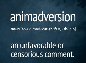 learn english word Animadversion and pronunciation