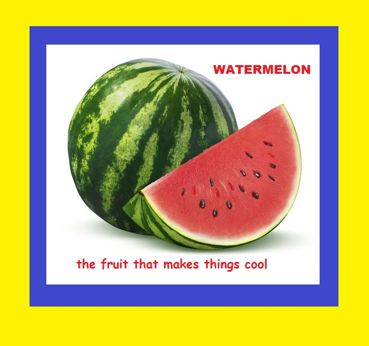 119 Watermelon Sayings | My Learning Goals and Writings