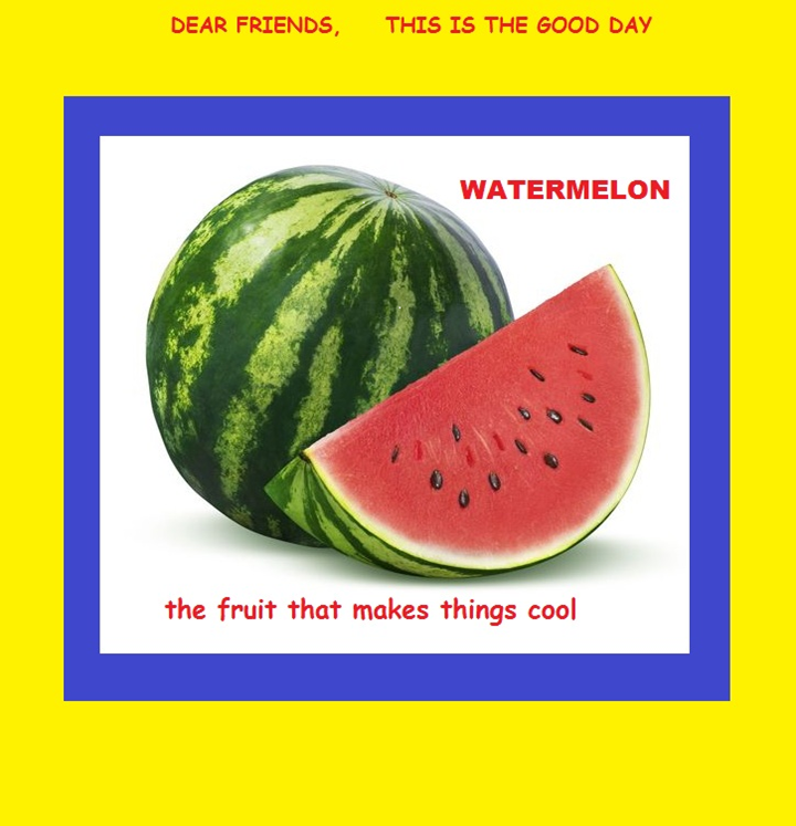 119 Watermelon Sayings