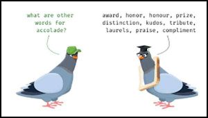 Learn English word Accolade and synonyms