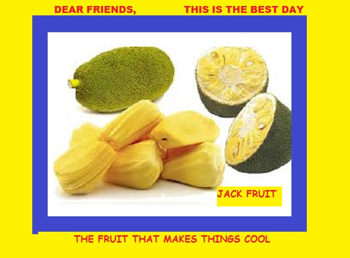 Be Been Being Jackfruit Sayings