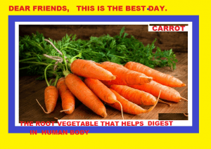 108 Carrot Sayings Post Image Chatsifieds