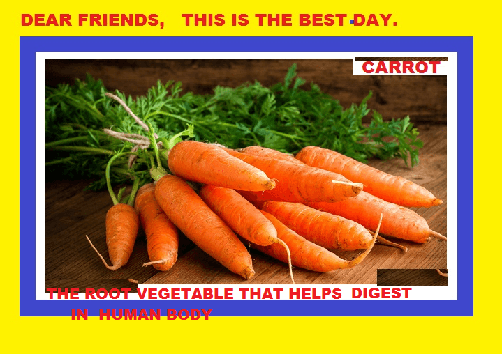 124 Banana Sayings | Refuse | My Learning Goals and Writings