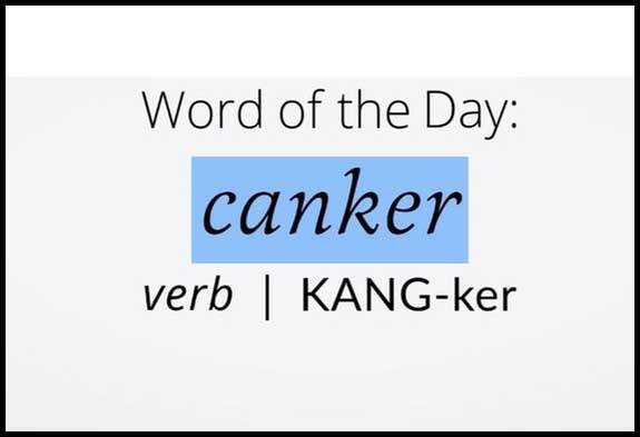 Learn Canker Definition Etymology and Synonyms