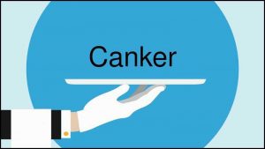 Learn Canker Definition chatsifieds