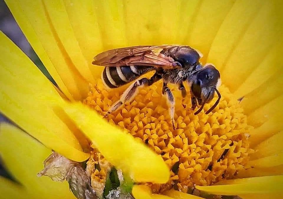 65 Single And General Words for Many Kinds of People (H) Vocabulary Builder