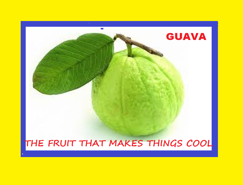 112 Guava Sayings | My Learning Goals and Writings