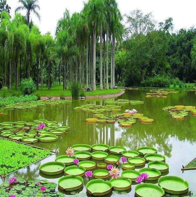 128 Single And General Words for Many Kinds of People For Letter M