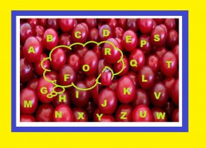 FOR Everything about for Chatsifieds