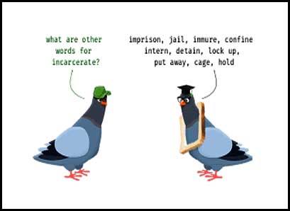 Learn INCARCERATE Meaning Etymology and Synonyms