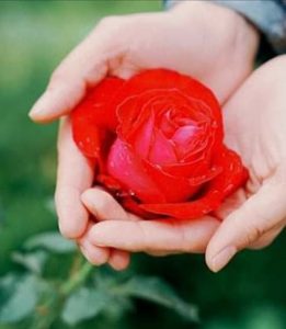 Single And General Words for Many Kinds of People For Letter N O Chatsifieds