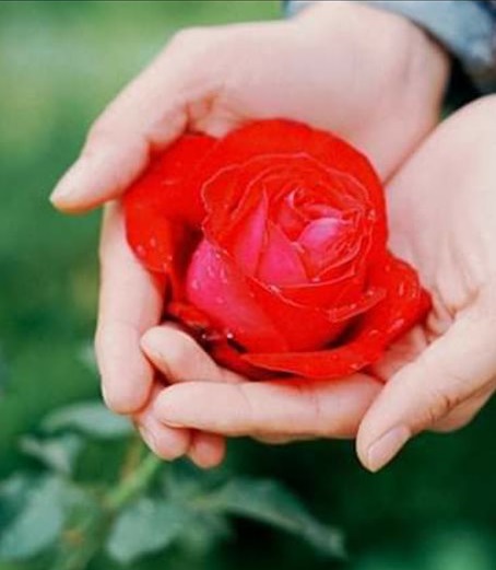 60 Single And General Words for Many Kinds of People For Letter N and O