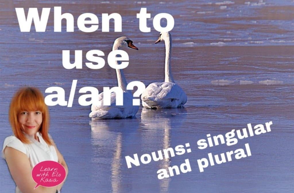 What are singular and plural nouns and when to use “a/an”?