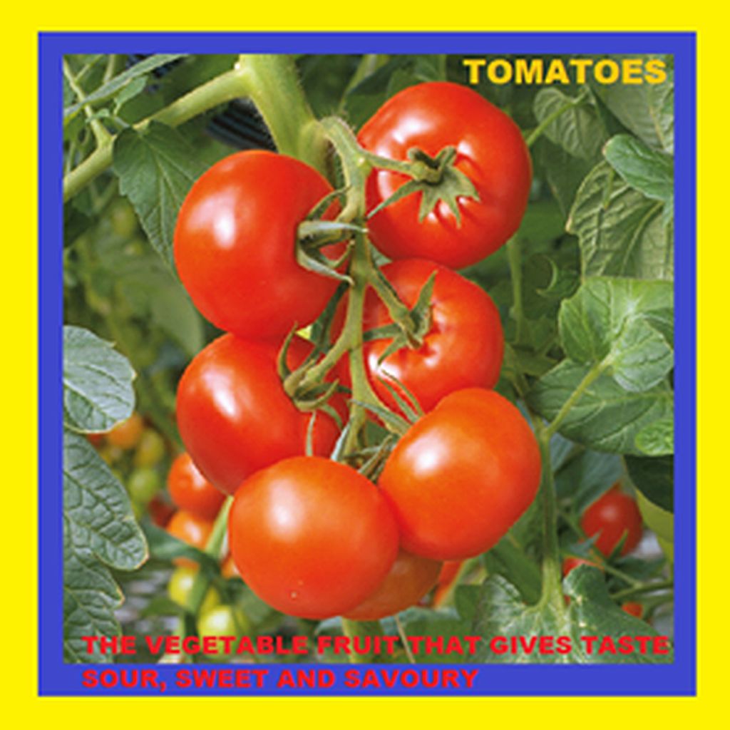 130 tomato Sayings Chatsifieds
