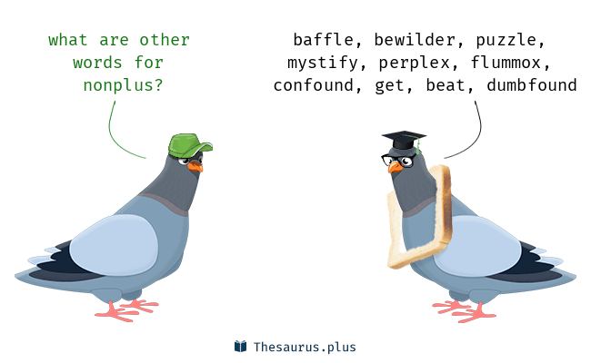 NONPLUS Meaning NONPLUS Etymology NONPLUS Synonyms and Antonyms birds Chatsifieds