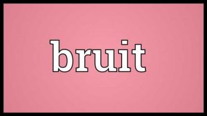 Wordipedia Learn BRUIT Meaning Definition Etymology Synonyms Chatsifieds
