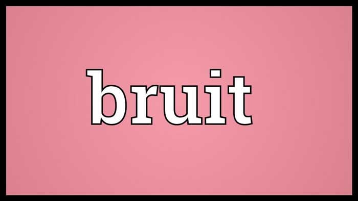 Wordipedia Learn BRUIT Meaning Definition Etymology Synonyms Chatsifieds