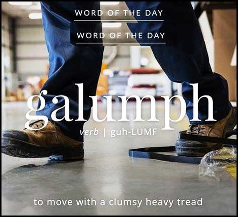 Wordipedia Learn GALUMPH Meaning Etymology and Synonyms definition Chatsifieds