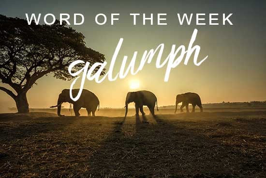 Wordipedia Learn GALUMPH Meaning Etymology and Synonyms definition Chatsifieds