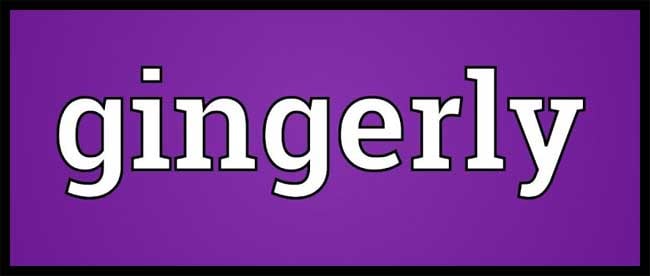Gingerly Meaning Gingerly Etymology Gingerly Synonyms Chatsifieds
