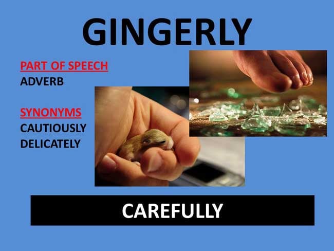 Gingerly Meaning Gingerly Etymology Gingerly Synonyms definition Chatsifieds
