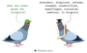 Incognito Meaning Incognito Etymology Incognito Synonyms Antonyms definition Chatsifieds