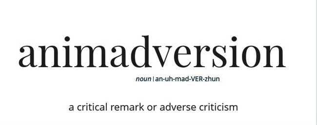 Animadversion definition and meaning feature Image Chatsifieds