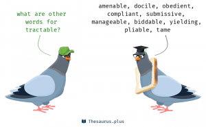 Tractable definition and meaning Synonyms Chatsifieds