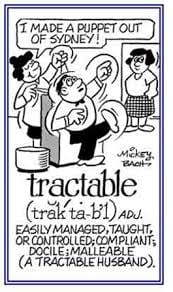 Tractable definition and meaning grammar usage Chatsifieds