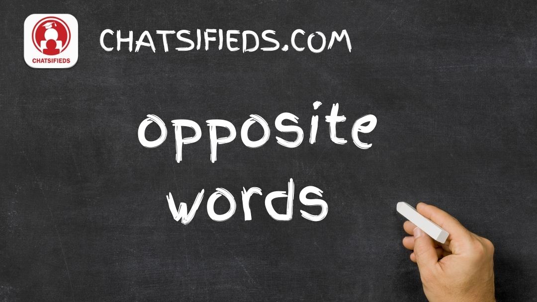 Certificate of opposite words and english lesson by chatsifieds