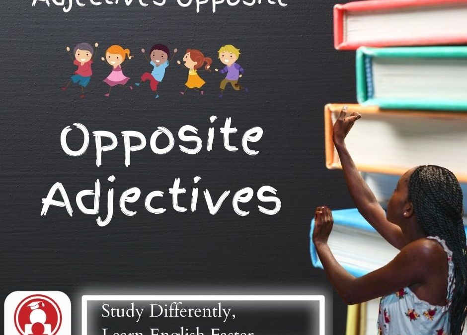 Opposite Adjectives Test