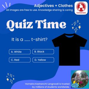 adjectives color black english quiz chatsifieds