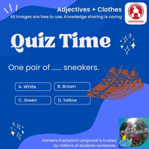 adjectives shoe color brown english quiz chatsifieds